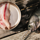 Image for article titled So You Want To Go Spearfishing For The Very First Time